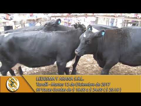 12-12-17 Venta de Gordo - Ledesma y Arana S.R.L. - Tandil.