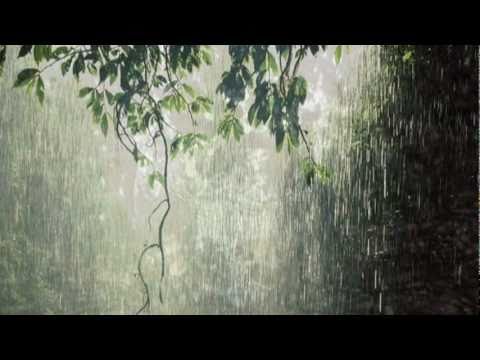 Anandamritakarshini -Sreevalsan J Menon -Monsoon anuraga