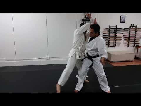 Practical Application of Gankaku Kata | Self-Defense Techniques |  martialarts #shotokankarate #kata