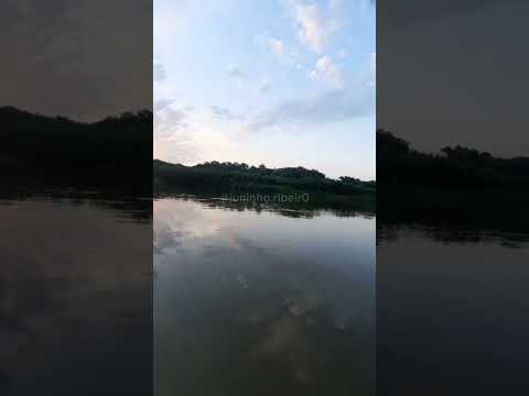 AQUELE POR DO SOL DE RESPEITO #pantanal #matogrossodosul #miranda #aquidauana