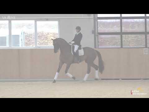 Va Bene I Veneno - Belissimo