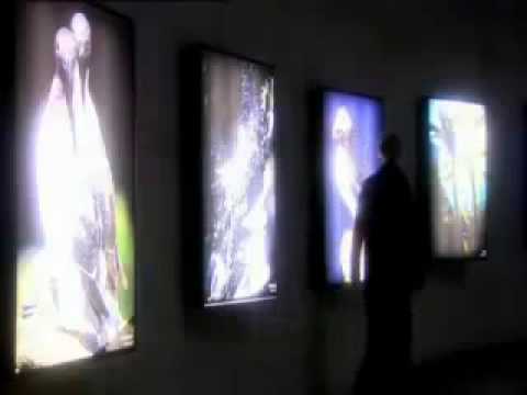 Working as a tourist guide at the Cliffs of Moher   Failte Ireland