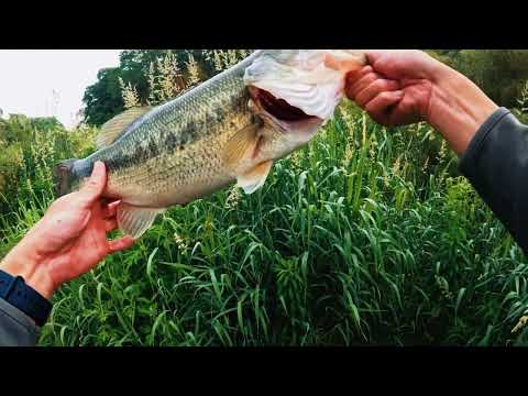 大潮アフター高滝湖攻略 [ バス釣り ] [ Vlog ] [ 4K ]