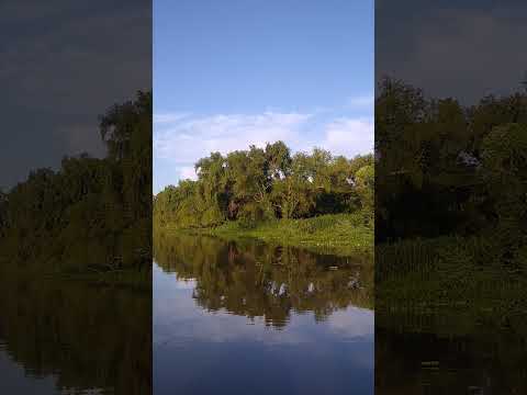 Peace for the soul - Parana River. Entre Rios, Argentina.