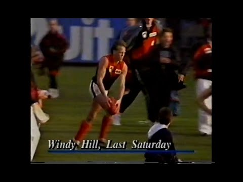Melbourne v Essendon controversy - Steven Clark - 1991 News Report - Round 11 - Windy Hill