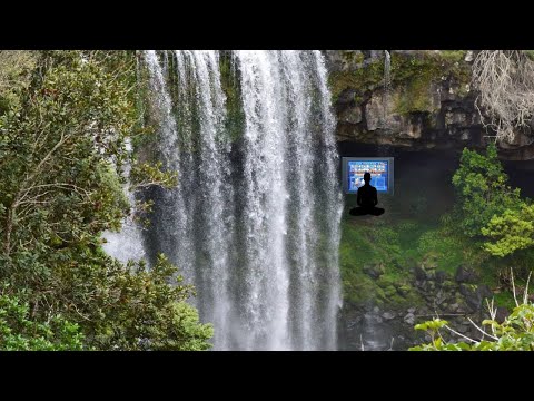 CRT Classics - Event 52 (2008) - Darkrain (Captain Falcon) vs Cactuar (Fox)