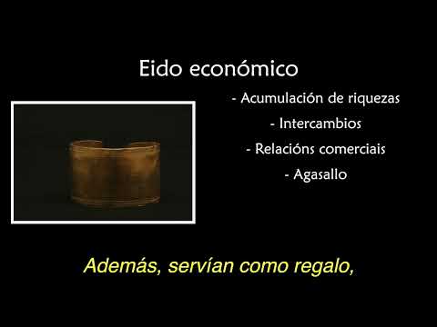Funcións e significado