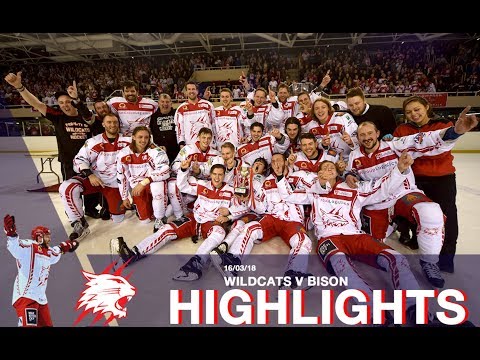 Swindon Wildcats VS Basingstoke Bison 16/03/18 Autumn Cup Final!!