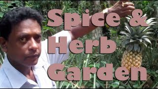 preview picture of video 'Spice & Herbal Garden - Palapathwela, Sri Lanka'