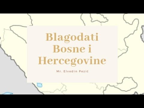Blagostanje u Bosni i Hercegovini | mr. Elvedin Pezić | [SAVJET SVIMA] | ᴴᴰ