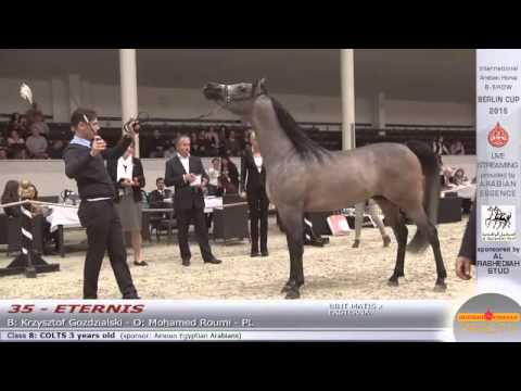 Berlin Cup Werder 2015 - Colts 3 years old (Class 8) - N.35 ETERNIS