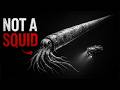 Why Does The Ocean Keep Making Monsters DEFAULT Thumbnail
