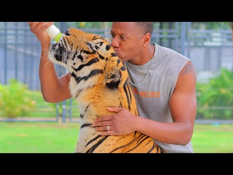 Arasmus - Thailand (Official Video)