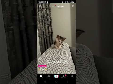 21.20.2023 03:06:28 tiktokta bulduğum canlı yayın