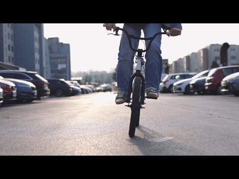 Koala Voice  -  Vest  (official video)