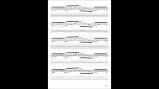 Muse - Screenager Cover Lesson