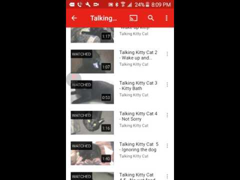 GASP!! Reacting to talking kitty cat 5 ignoring the dog