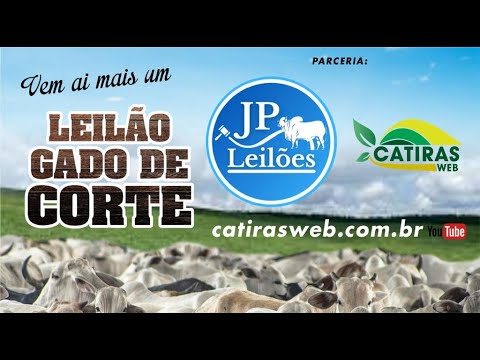 LEILÃO AO VIVO JP LEILÕES E FAMÍLIA - GOIANDIRA - GO - 12 DE MARÇO DE 2024.