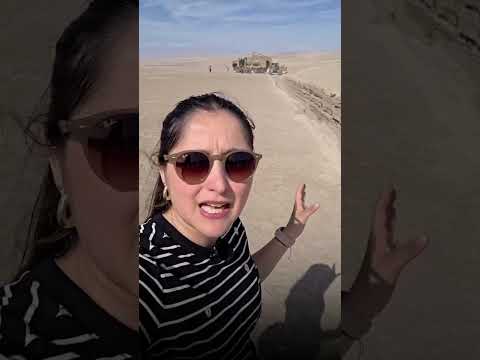 Pdte. Kast supervisa el trabajo en la frontera | 24 Horas TVN Chile