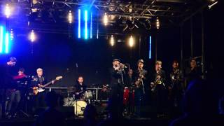 Bottle of moonshine met "Indian nuts" op Sunfield festival 2015