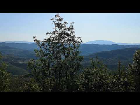 Kroatien Istrien Pazin Ferienhaus Casa Ivan