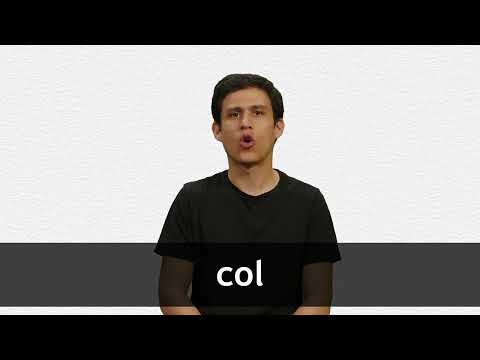 English Translation of “COL” | Collins Spanish-English Dictionary