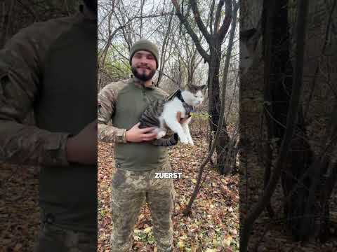 Die Katze wollte nicht das er geht 🥺 #shorts