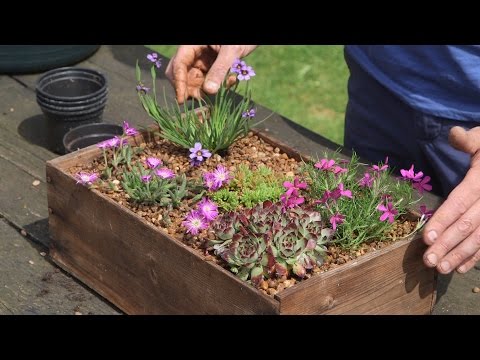 Create a vintage container alpine display