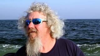 Fish Mavericks rodeo-ing bait for Stripers