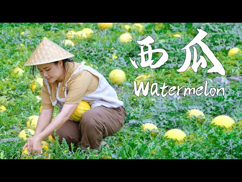 This summer can’t be without watermelon【滇西小哥】