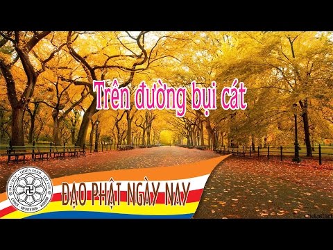 04. Trên đường bụi cát