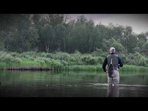 Ørretfiske Porsanger