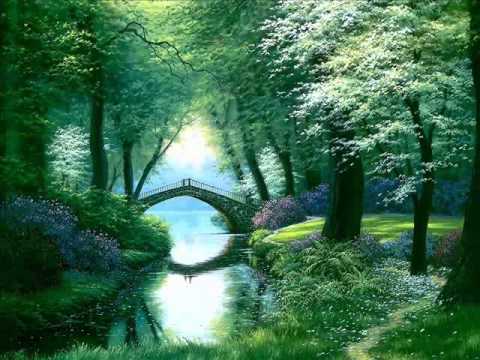 download lagu mp3 mp4 I Have A Wonderful Life, download lagu I Have A Wonderful Life gratis, unduh video klip I Have A Wonderful Life