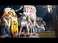 2ம் திருவிழா ரிஷப வாகனம் சுவாமி வீதிய�