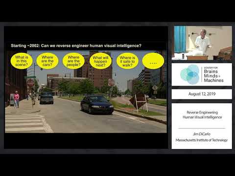 Reverse Engineering Human Visual Intelligence