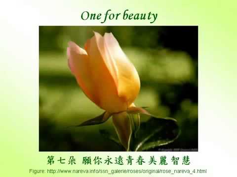 download lagu mp3 mp4 Flowers With A Message, download lagu Flowers With A Message gratis, unduh video klip Flowers With A Message