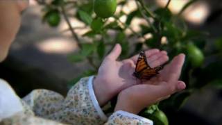 US director makes first smartphone movie