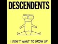 Descendents - Pervert (Lyric Video!!!)