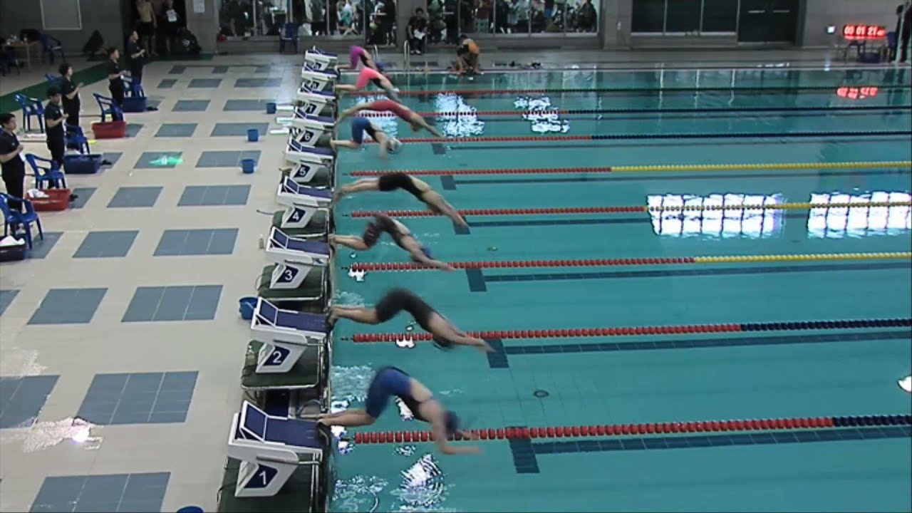 제27회 종별핀수영 선수권 대회 (하이라이트)