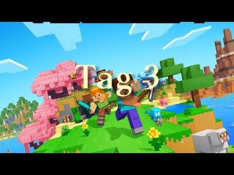 Minecraft survival tag 3 