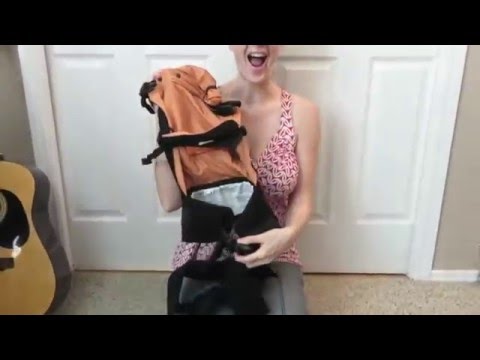 Tandem Babywearing Twins with TwinGo Baby Carrier - Demo & Review