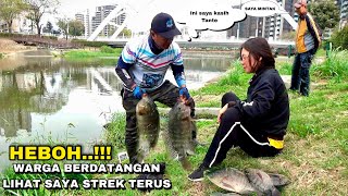 Download lagu It was really exciting when fishing for tilapia and getting so many babon that it became a specta... mp3