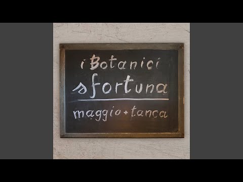Video thumbnail for Sfortuna (Remix)