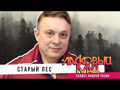 Ласковый Май (солист Андрей Разин) - Старый лес.