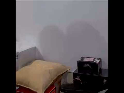 Sweet Baby🩷 #ZeePruk #NuNew #ZeeNuNew #ซีนุนิว #지누뉴