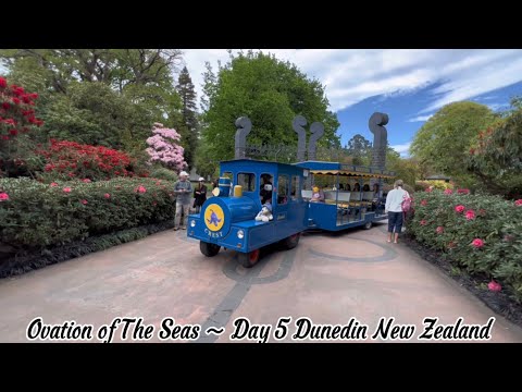 Thumbnail for Ovation of The Seas ～ Day 5 Dunedin New Zealand。｜海洋赞礼号第五天新西兰达尼丁