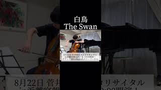 Download lagu サン=サーンス 白鳥 SaintSaens The Swan mp3 Download lagu サン=サーンス 白鳥 SaintSaens The Swan mp3