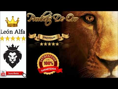 AUTOESTIMA GIGANTE Y CONFIANZA SUPREMA. Audio resubido del Autor León Renacido (Antes León Alfa).