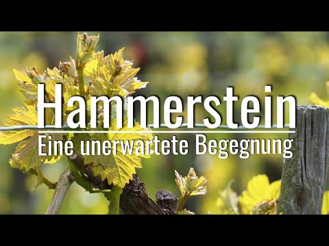 Hammerstein (Rhein) - Eine unerwartete Begegnung