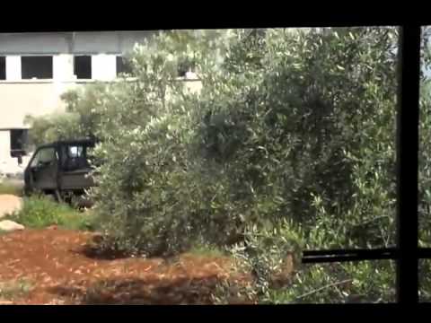 اشتباكات بين عناصر كتيبة الشهيد أحمد العمر وقوات النظام في خربة غزالة